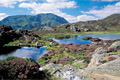 Lake District and Cumbria image