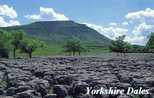 Yorkshire Dales Picture Magnets 