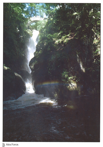 Aira Force A4 Greetings Cards