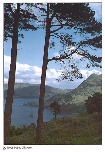 Silver Point, Ullswater A4 Greetings Cards