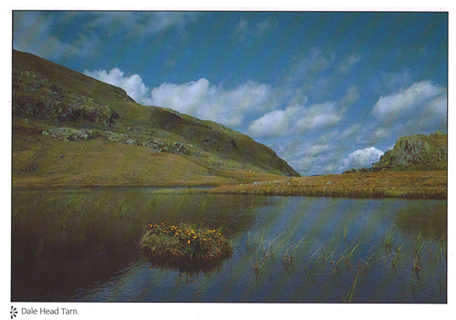 Dale Head Tarn A4 Greetings Cards