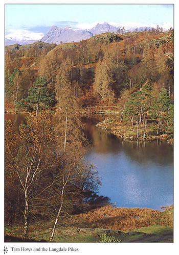 Tarn Hows and the Langdale Pikes A4 Greetings Cards