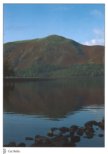 Cat Bells A4 Greetings Cards