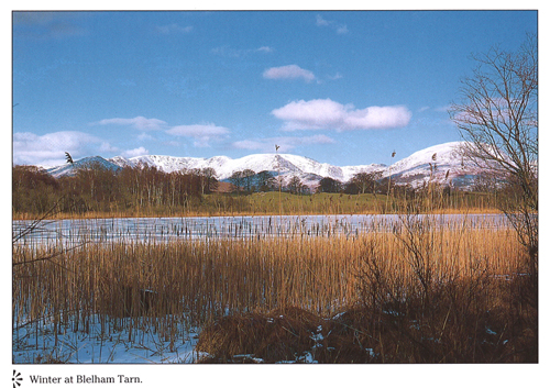 Winter at Blelham Tarn A4 Greetings Cards