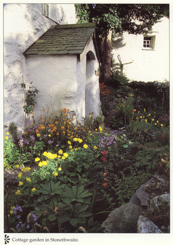 Cottage garden in Stonethwaite A4 Greetings Cards