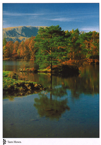 Tarn Hows A4 Greetings Cards