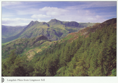 Langdale Pikes from Lingmoor Fell A4 Greetings Cards