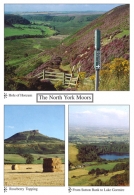 North Yorkshire Moors A4 Greetings Cards