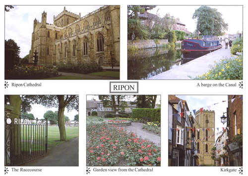 Ripon A4 Greetings Cards