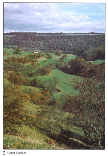 Upper Ryedale A4 Greetings Cards