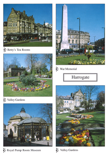 Harrogate A4 Greetings Cards