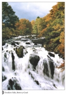 Swallow Falls, Betws-y-Coed A4 Greetings Cards