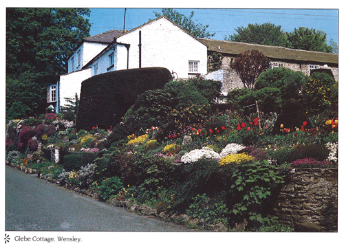 Glebe Cottage, Wensley A4 Greetings Cards