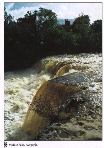 Middle Falls, Aysgarth A4 Greetings Cards