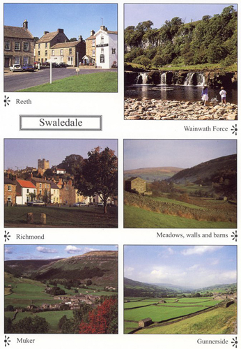 Swaledale A4 Greetings Cards