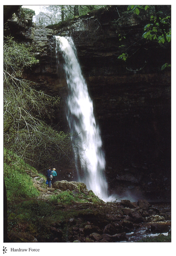 Hardraw Force A4 Greetings Cards