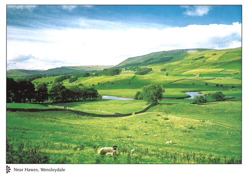 Near Hawes, Wensleydale A4 Greetings Cards