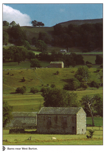 Barns near West Burton A4 Greetings Cards