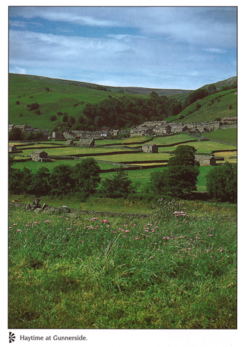 Haytime at Gunnerside A4 Greetings Cards