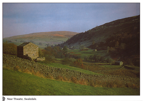 Near Thwaite, Swaledale A4 Greetings Cards