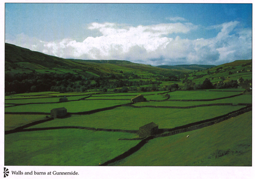 Walls and barns at Gunnerside A4 Greetings Cards