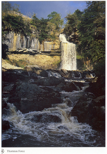 Thornton Force A4 Greetings Cards