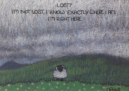 Lost? I'm not lost...A5 Greetings Cards