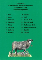 Cumbrian Shepherds' Tally A5 Greetings Cards