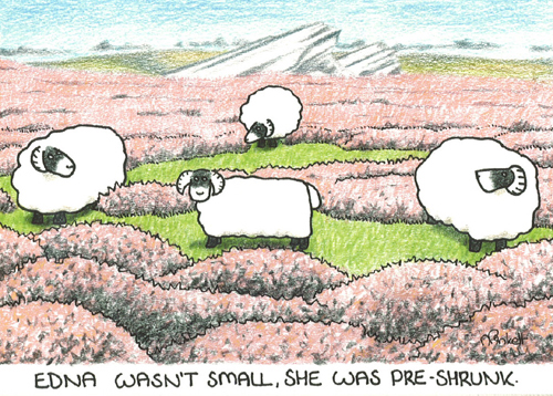 Edna wasn't small, she was pre-shrunk A5 Greetings Cards