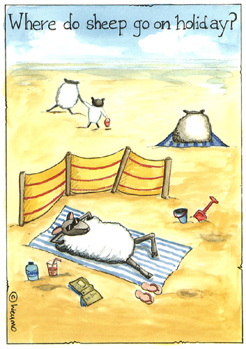 Where do sheep go on holiday? A5 Greetings Cards