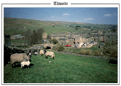 Thwaite A5 Greetings Cards