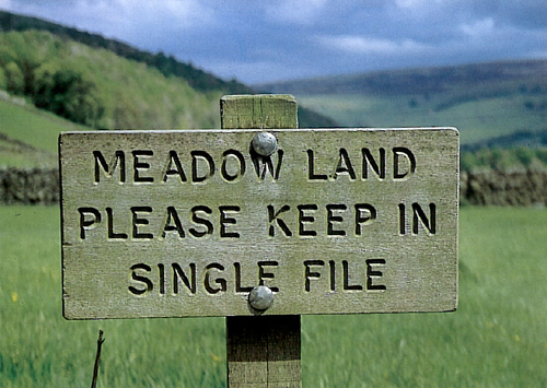 Meadow land, Yorkshire Dales A5 Greetings Cards
