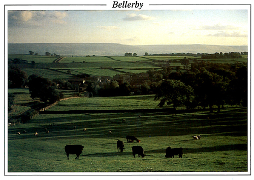 Bellerby A5 Greetings Cards