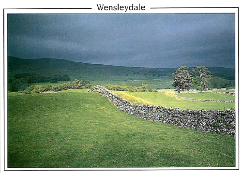 Wensleydale A5 Greetings Cards
