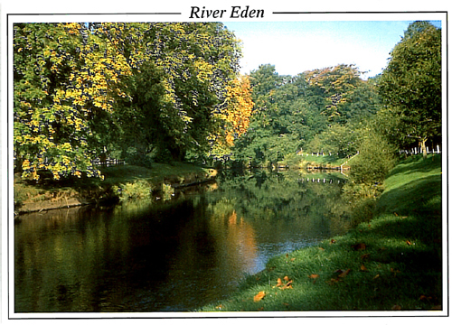 River Eden A5 Greetings Cards