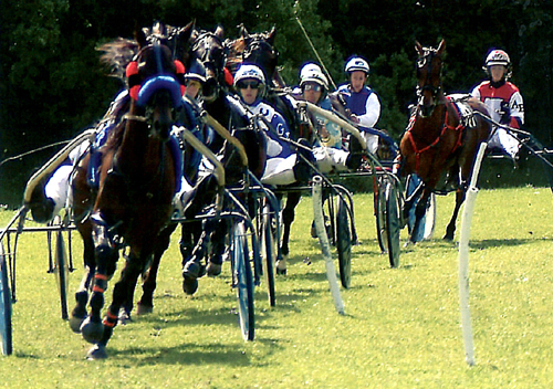 Harness Racing, Appleby Horse Fair A5 Greetings Cards