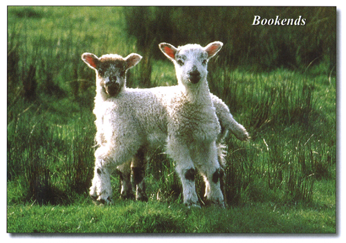 Bookends A5 Greetings Cards