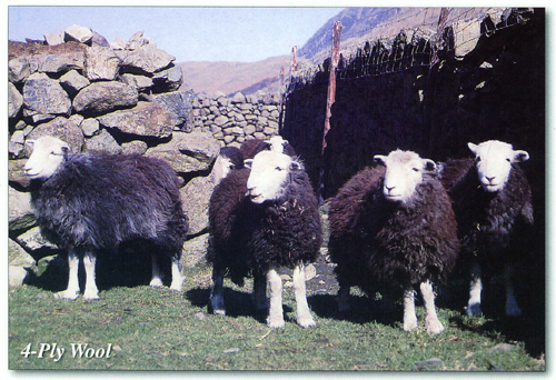 4-Ply Wool A5 Greetings Cards