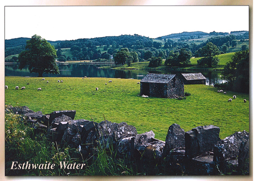 Esthwaite Water A5 Greetings Cards