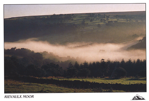 Rievaulx Moor A5 Greetings Cards 