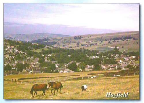 Hayfield A5 Greetings Cards