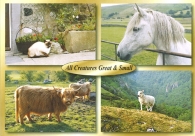 All Creatures Great & Small A5 Greetings Cards