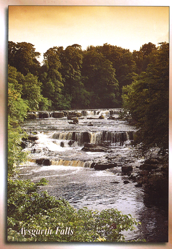 Aysgarth Falls A5 Greetings Cards
