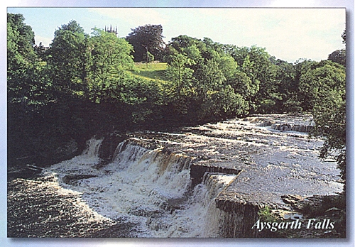 Aysgarth Falls A5 Greetings Cards