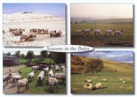 Seasons in the Dales A5 Greetings cards