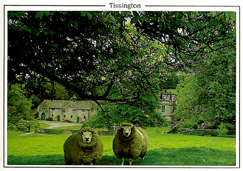 Tissington A5 Greeting Cards