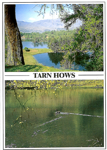 Tarn Hows A5 Greetings Cards