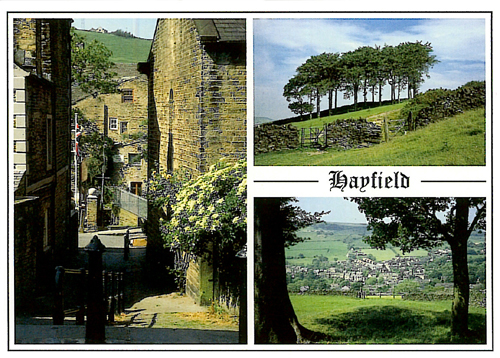 Hayfield A5 Greetings Cards