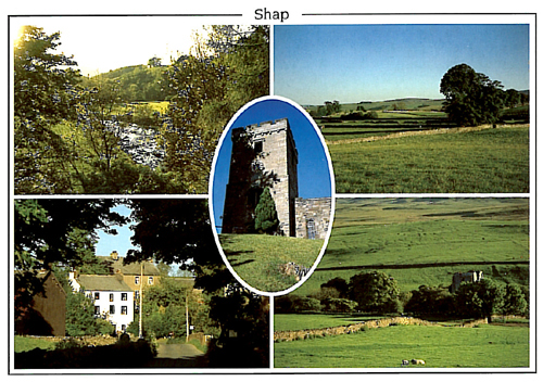 Shap A5 Greetings Cards