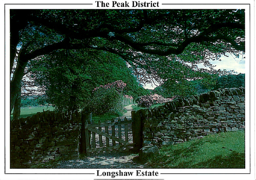 The Peak District, Longshaw Estate A5 Greetings Cards